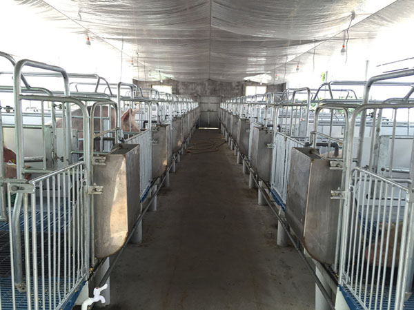 ����Ҧ���i�������(xi��ng)Ŀ